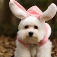 back your mother‘s time