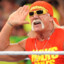 Hulk Hogan