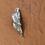 Moth