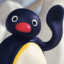 Pingu