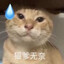 圆头耄耋