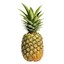 PineappleHed