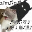 coolaccc