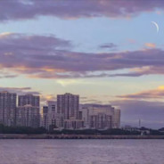 所以要去找你吗