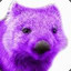 Purplewombat