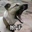 疯狂**蔡萝莉