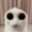 rob