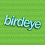 Birdeye