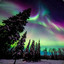 Northern Light