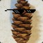 pinecone.3rd