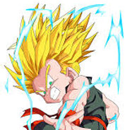 VBH_Trunks