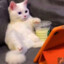 Овощ