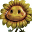 ketamine sunflower