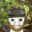 Jimbo