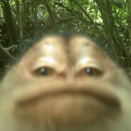 黄磊也曾拼好饭