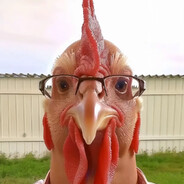 Mr.chicken