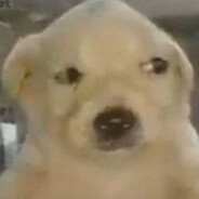 爆浆绝情伏特加