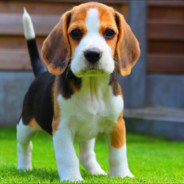 imgonesmurfthisshiet