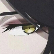 再见我的小麻雀