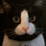 красивый нежный