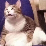 knight世界第一中单