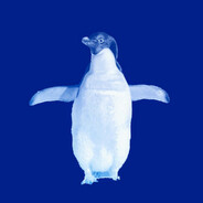 Agkistrod