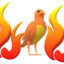 Firebirb GD