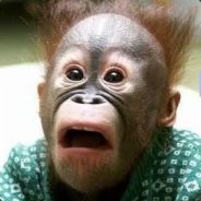 Akmanar - steam id 76561197990656194