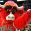 BennyTheBull