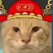 帝国绝兇の猛虎！圆头