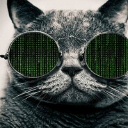 Neo