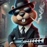 ) - steam id 76561199787592337