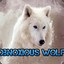 obnoxiouswolf 2