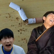 维新派—尼古丁真