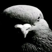 one love! ˡᵒᵛᵉᵧₒᵤ