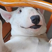 小叶紫檀木罗森