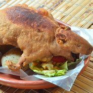 ᴠᴘ / PANZADERATA