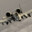 Brrrrrt
