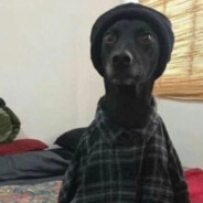 你妈妈的吻，全打偏了