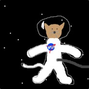 Space_Cat