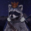 Doom Raccoon