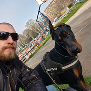 Bobi