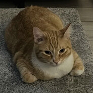 Colorblind but still Racist