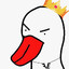 FVE_Duck