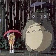 是谁在轮椅上飞行