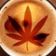cannabis