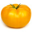 Yellow Tomato