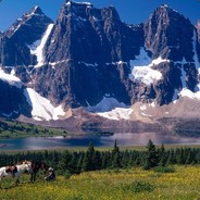 我是来报复社会的