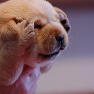 湖南16岁大牛牛