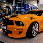 Профиль игрока Hops